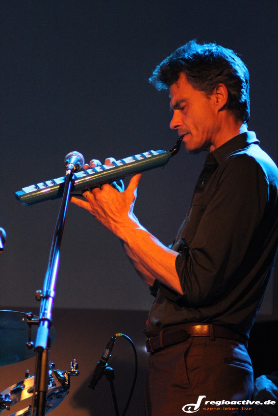 John Parish (live in Heidelberg, 2013)